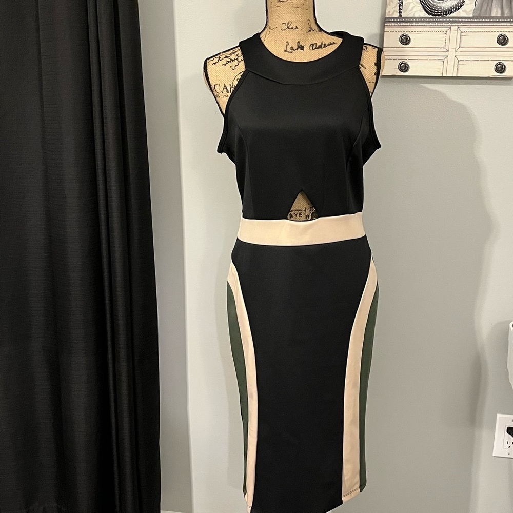 Ashley Stewart size 12 dress Nwt